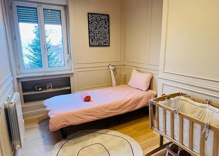 Le Notre-dame, Mon Cosy Et Elegant Appartement Strasbourg