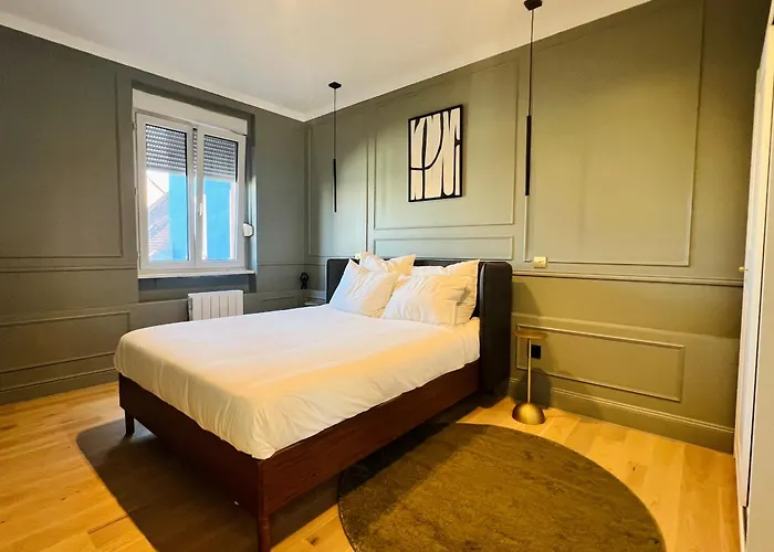Apartament Le Notre-dame, Mon Cosy Et Elegant Strasburg